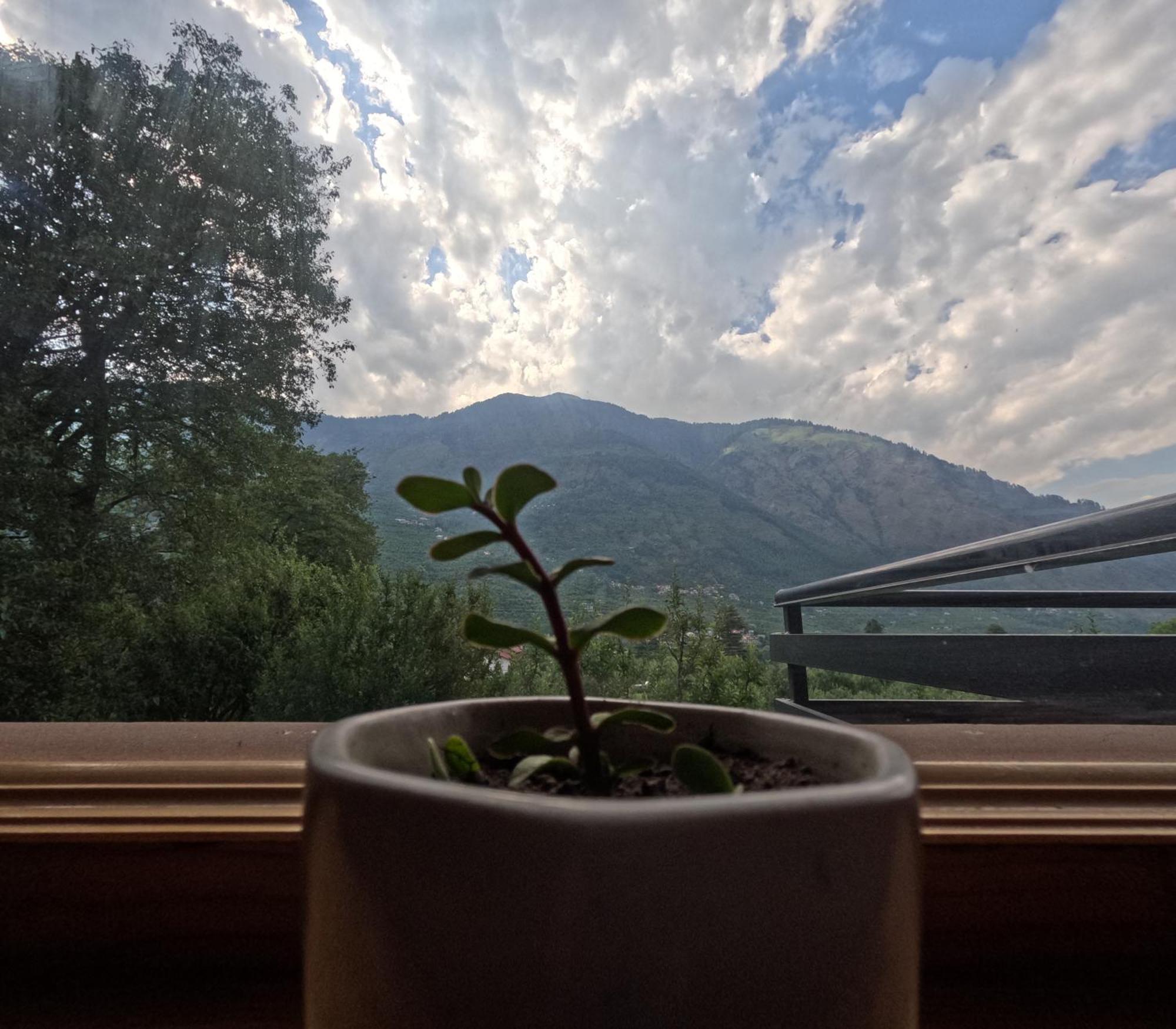 Saanjh - A Serene Retreat Manāli Zewnętrze zdjęcie
